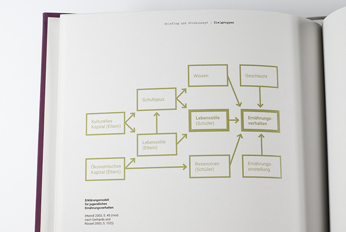 Diagramm zum Einfluss der Lebensstile im Recherchebuch zum Ernährungsbildungs-Masterprojekt von Johanna Diepenbrock