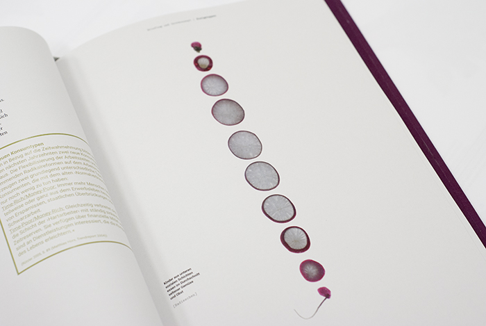 Gescannte Schichten eines Radieschens im Recherchebuch zum Ernährungsbildungs-Masterprojekt von Johanna Diepenbrock